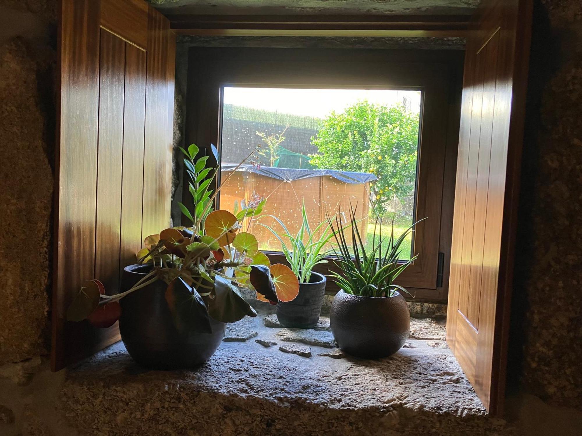 Bergui Guesthouse - Em Guimaraes Desde 2017 Esterno foto